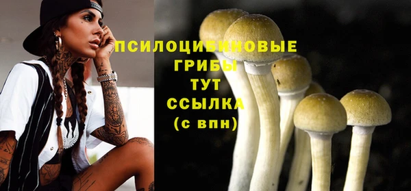 шишки Богородицк