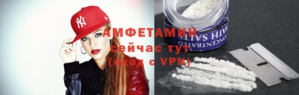 шишки Богородицк