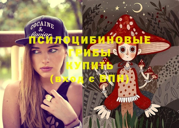 сатива Тихорецк