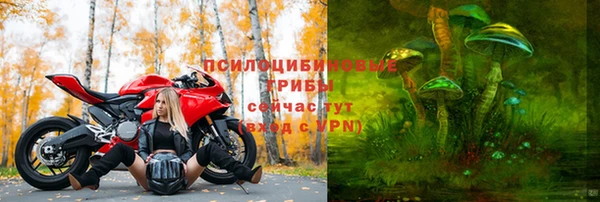 apvp Касимов
