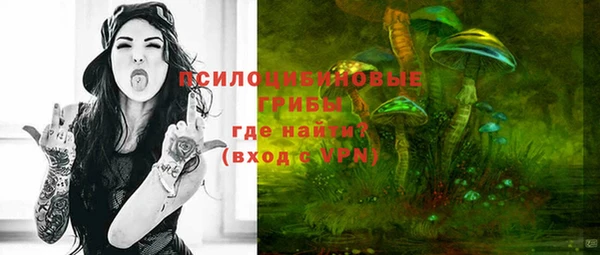 шишки Богородицк