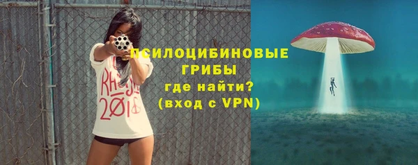 шишки Богородицк