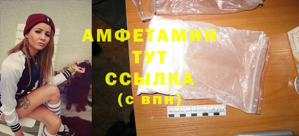 шишки Богородицк