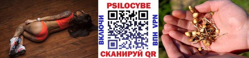 Галлюциногенные грибы мухоморы  цена наркотик  Трубчевск 